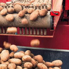Kartoffelvollernter nach Umbau von Freilauf wieder zuverlässig