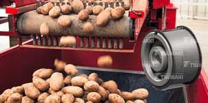 Tsubaki potato harvester free-wheel