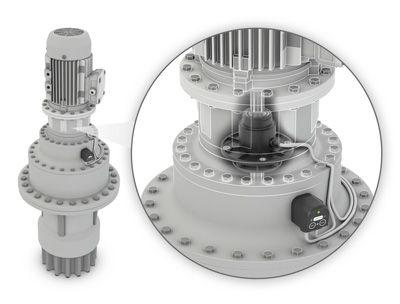 schaeffler10419