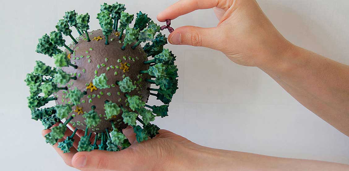 Corona-Virus Modell biologisch korrekt vom 3D-Drucker