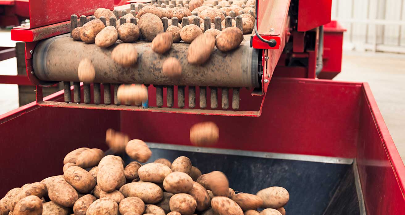 Kartoffelvollernter nach Umbau von Freilauf wieder zuverlässig